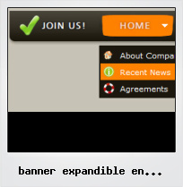 Banner Expandible En Flash Vertical