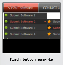 Flash Button Example