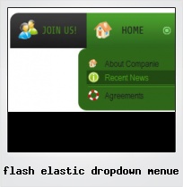 Flash Elastic Dropdown Menue