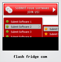 Flash Fridge Com