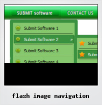 Flash Image Navigation