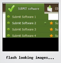 Flash Looking Images Example Fls