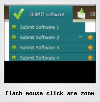 Flash Mouse Click Are Zoom Flash Mouse Click Are Zoom