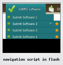 Navigation Script In Flash