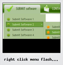 Right Click Menu Flash Customize