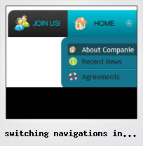 Switching Navigations In Flash